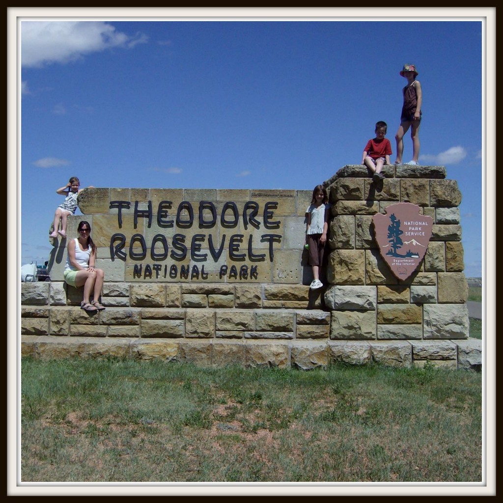 Theodore Roosevelt National Park