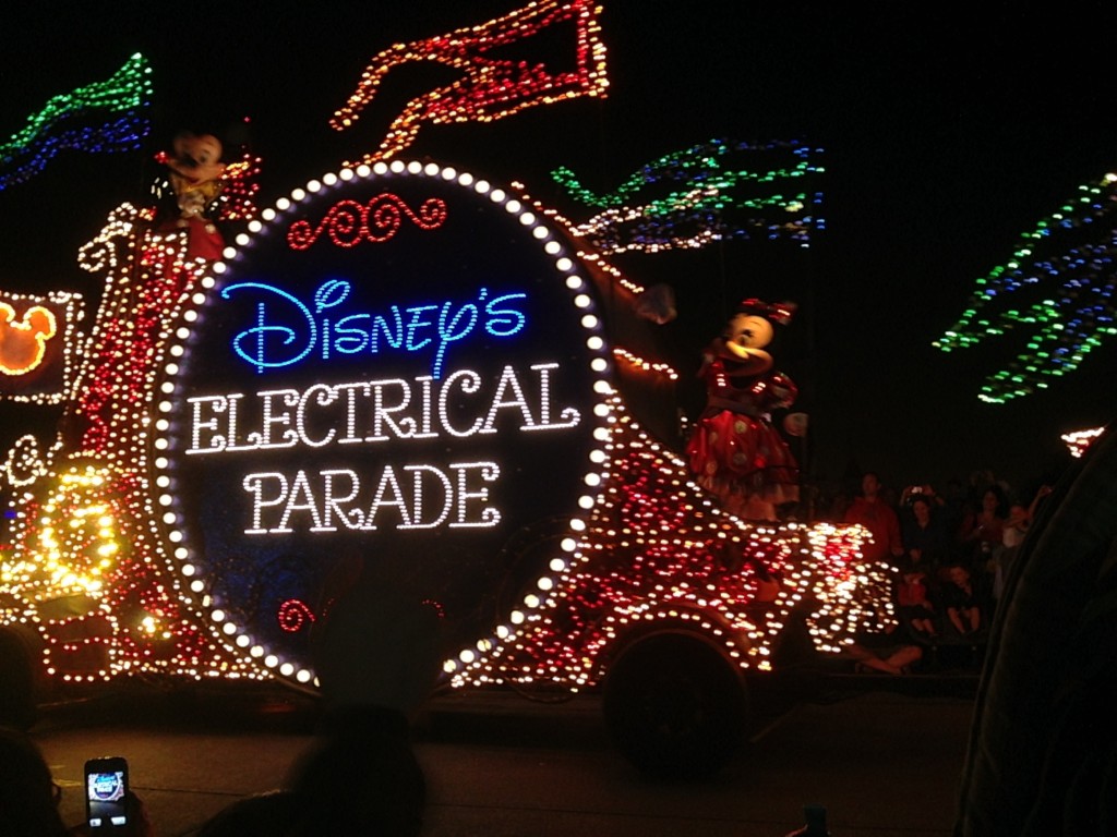Disney Princess Half Marathon Magic Kingdom Electrical Parade
