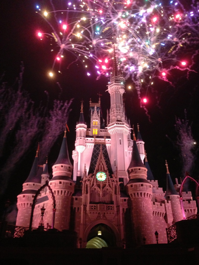 Disney Princess Half Marathon Wishes at Magic Kingdom Walt Disney World