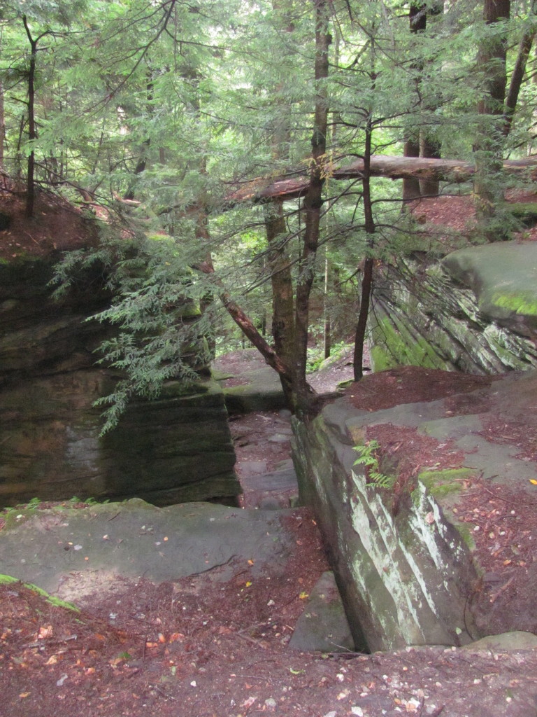Ledges Trail Cuyahoga Valley National Park