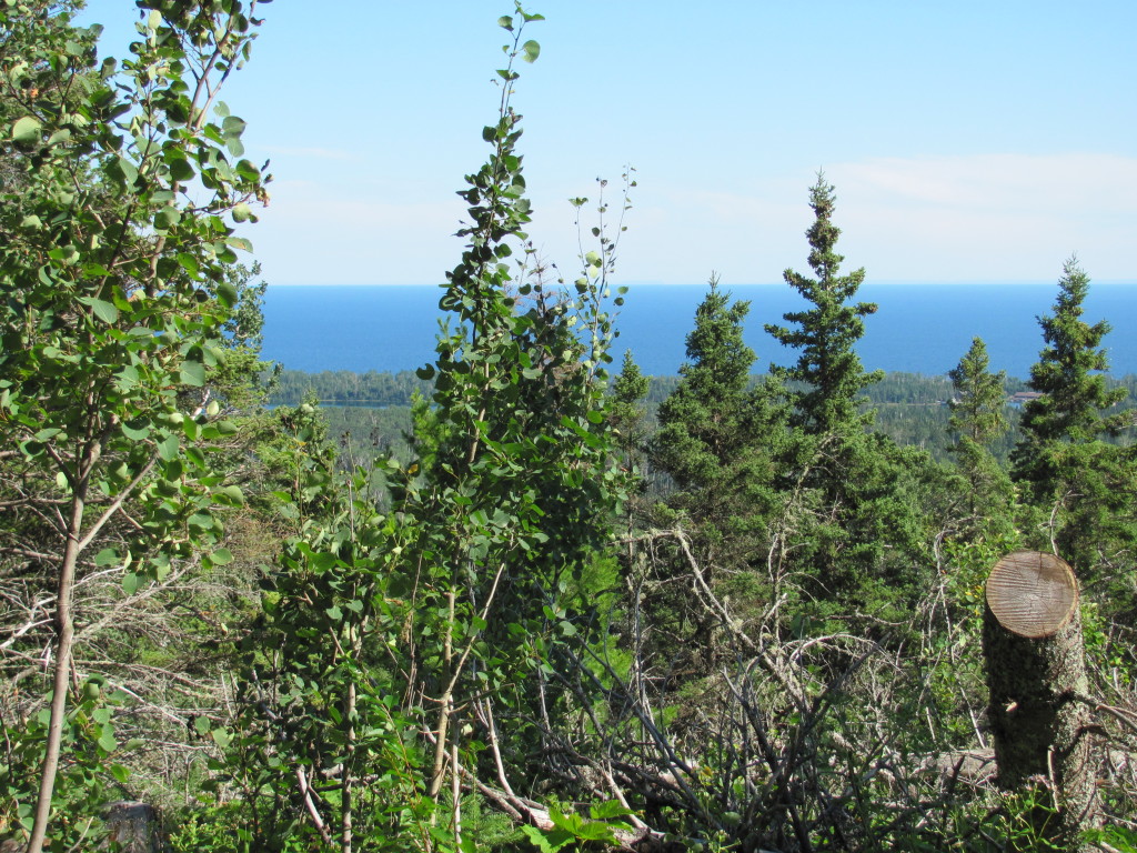 Beautiful views on the Mount Franklin Trail in Isle Royale National Park
