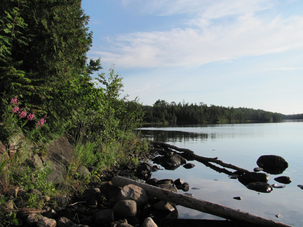 Lane Cove Campground in Isle Royale National Park