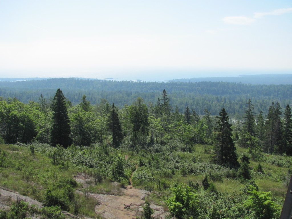 Views From Mount Ojibway Tower in Isle Royale National Park