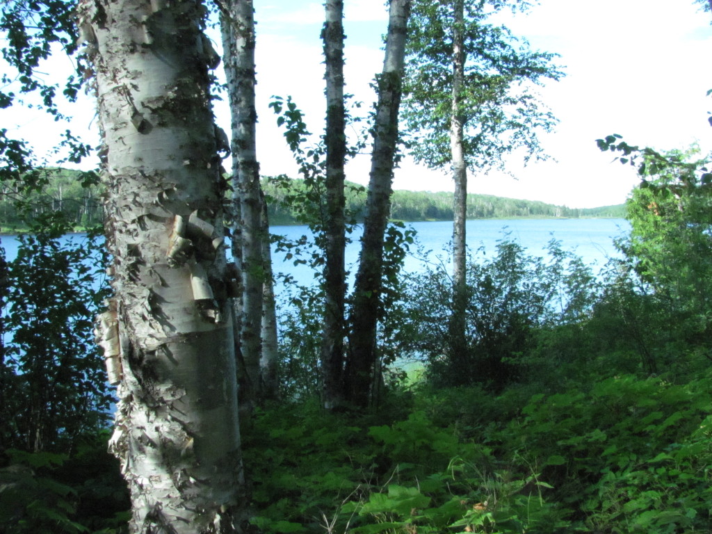 Campsite View of Hatchet Lake