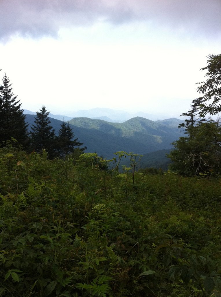 Smoky Mountains National Park-Planning a Successful Multi-Generational Vacation Family Reunion