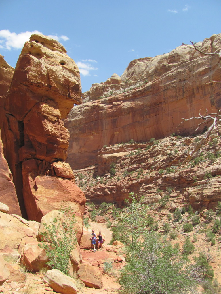 Hike to Cassidy Arch in Capitol Reef National Park