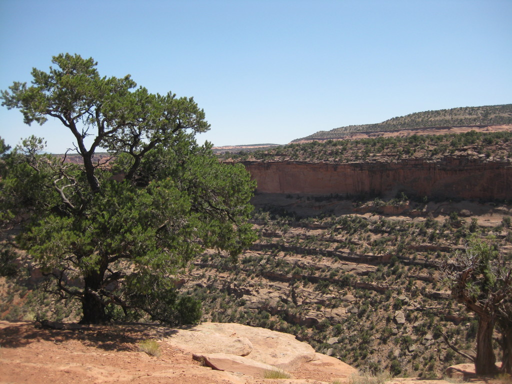 Canyon Rim Trail in Colorado National Monument