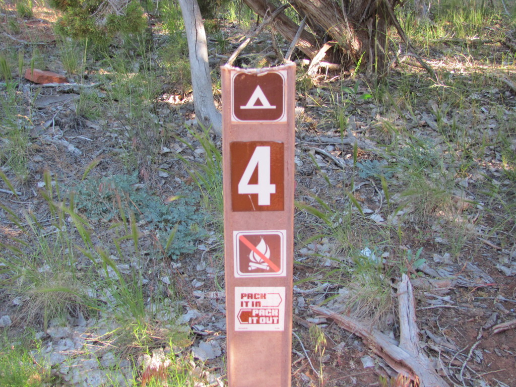 La Verkin Creek Trail in Kolob Canyon, Campsite #4