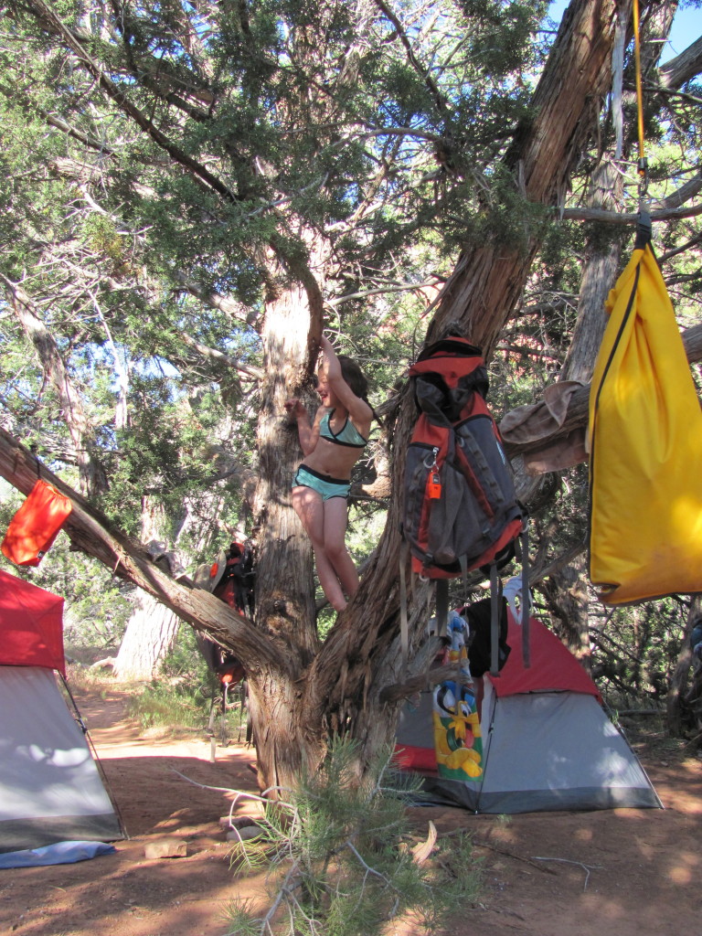 La Verkin Creek Trail in Kolob Canyon: Our Campsite in Kolob Canyon