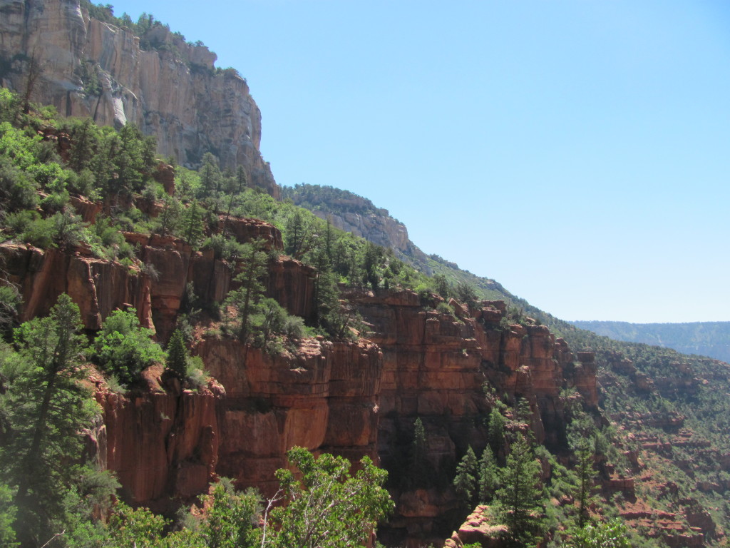 Grand Canyon Rim to Rim with kids- Views From the North Kaibab Trail