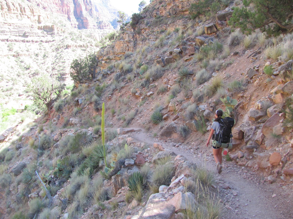 Grand Canyon Rim to Rim-Views From North Kaibab Trai