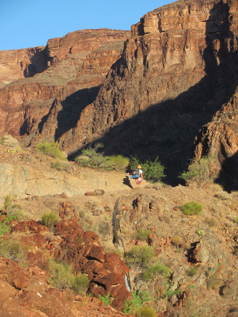 Grand Canyon Rim to Rim with kids: Hiking the Bright Angel Trail