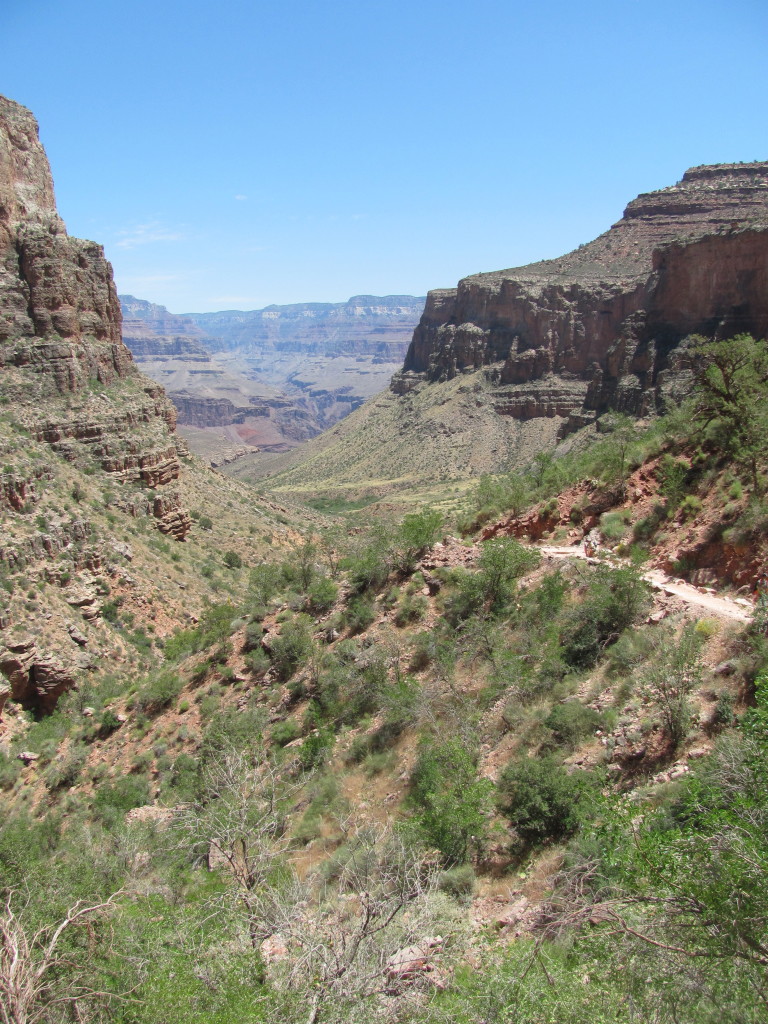 Grand Canyon Rim to Rim with kids: Views From the Bright Angel Trail