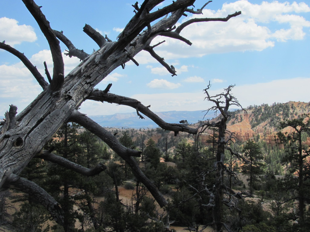 Views on the Fairyland Loop Trail in Bryce Canyon National Park