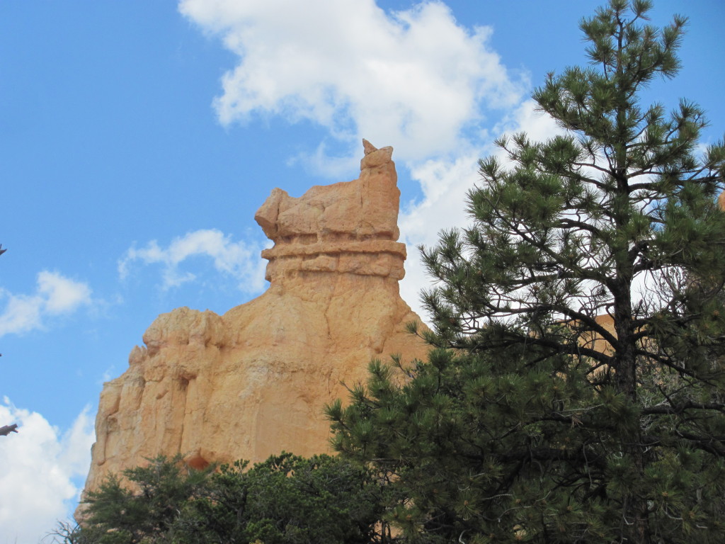 Views From the Fairyland Loop Trail in Bryce Canyon National Park- Doesn't it look like a cat?