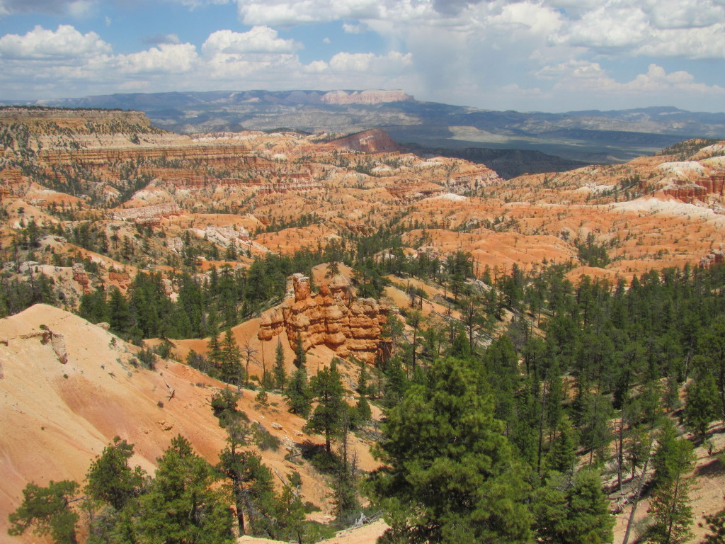 Rim Trail in Bryce Canyon National Park