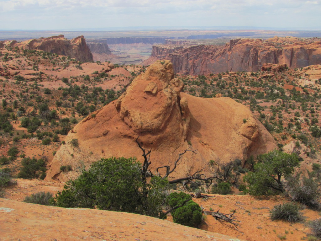Views From the Top of Whale Rock- Canyonlands National Park