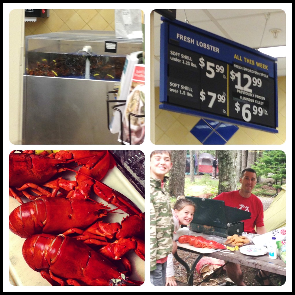 Lobster Feast While Camping? Heck yeah! Acadia National Park