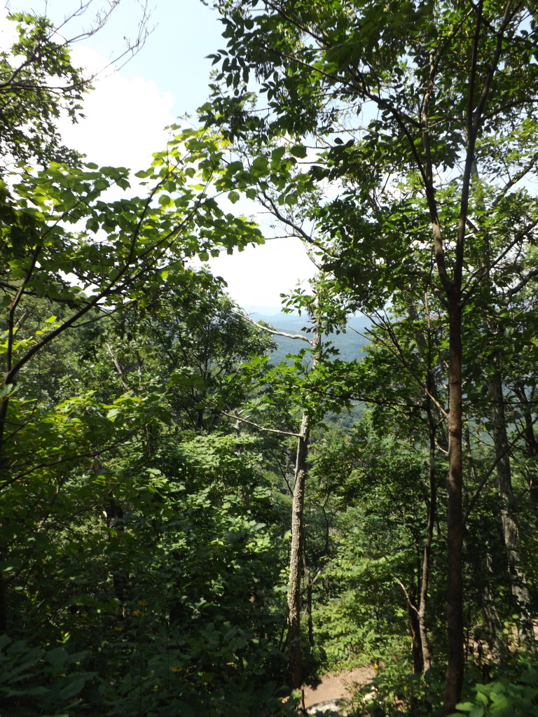 Shenandoah National Park: Views From the AT New Loft Mountain