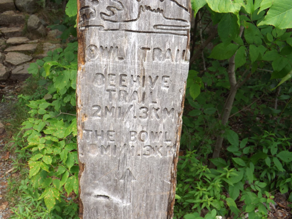 Beehive Trail in Acadia National Park