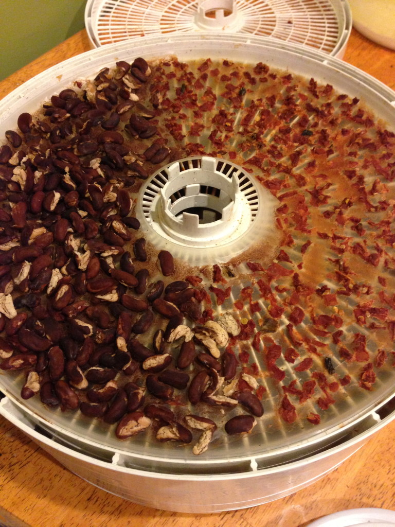 Dried Kidney Beans and Tomatoes with Chilies for Chili Con Carne