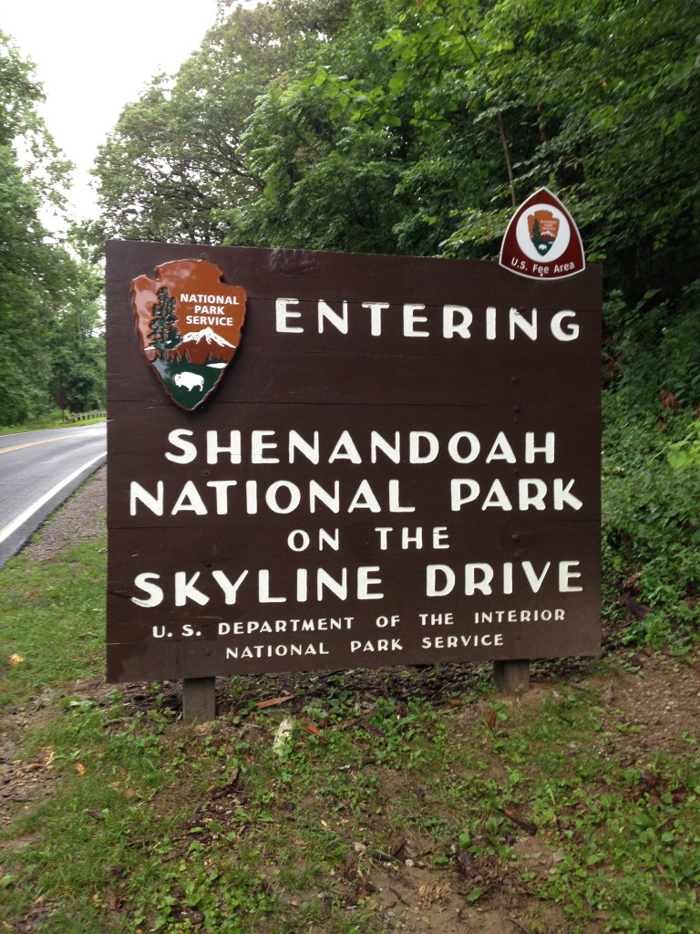 Skyline Drive: Shenandoah National Park