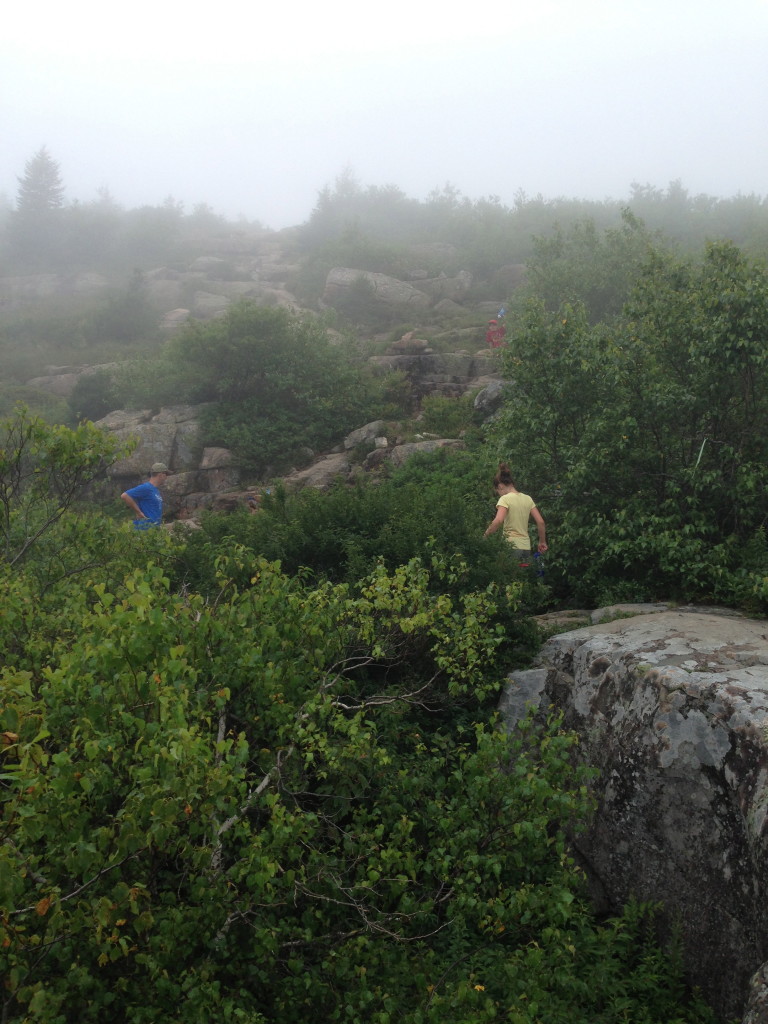 Climbing Cadillac Mountain With Kids : South Ridge Trail on Cadillac Mountain in Acadia National Park