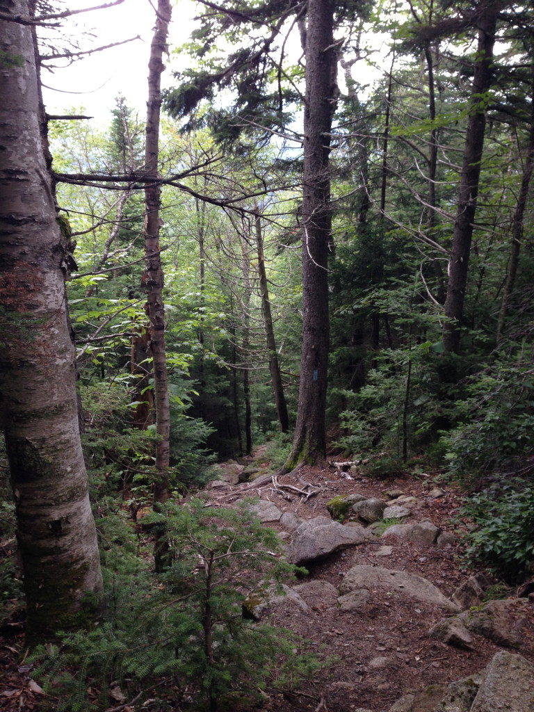 Climbing South Turner Mountain Trail in Baxter State Park