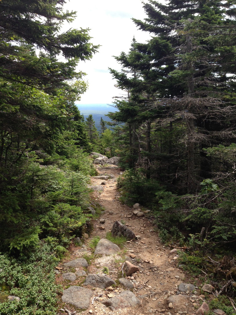 Back Down the South Turner Mountain Trail