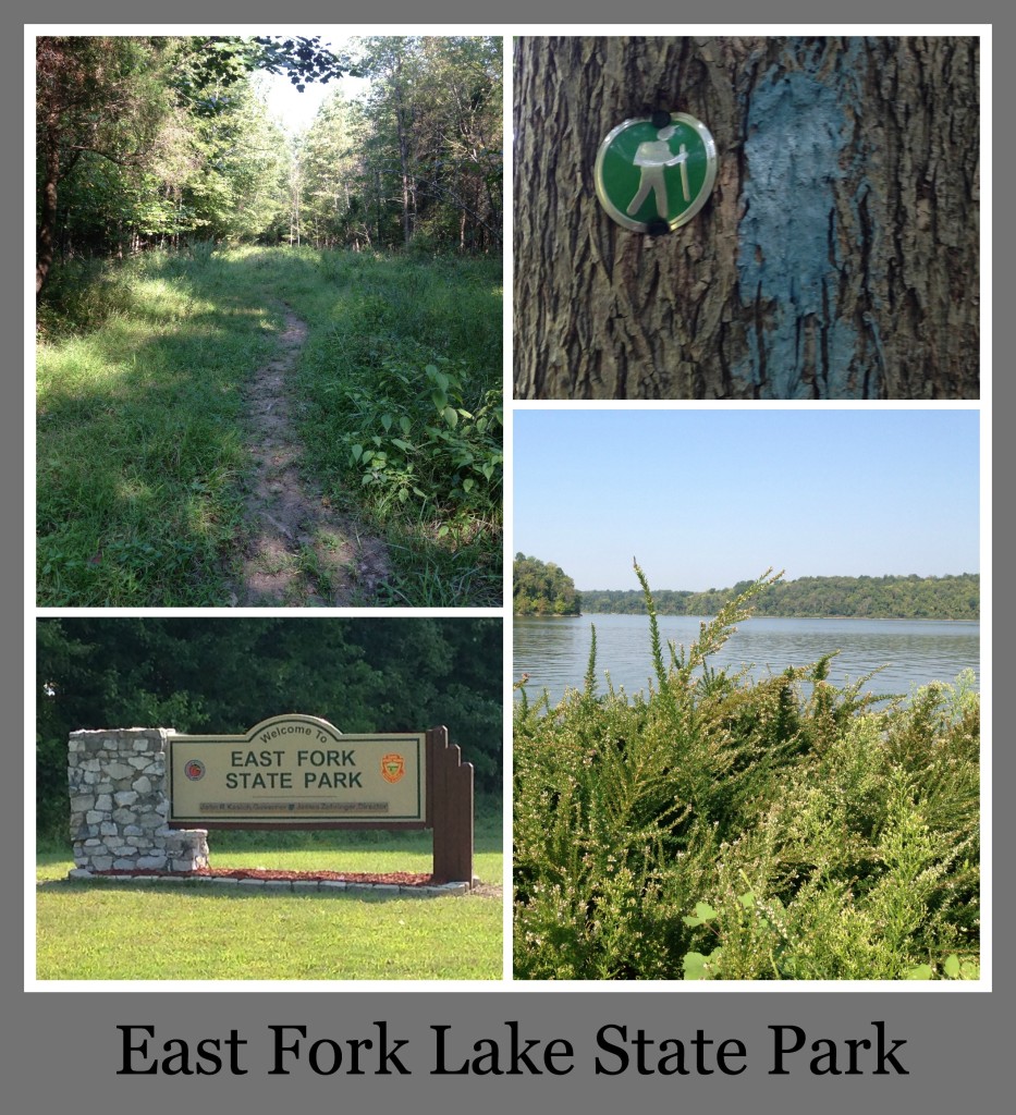 30 Days of Trails in Cincinnati: East Fork Lake
