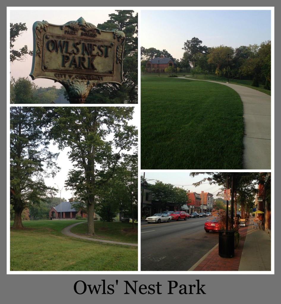 30 Days of Trails in Cincinnati: Owl's Nest