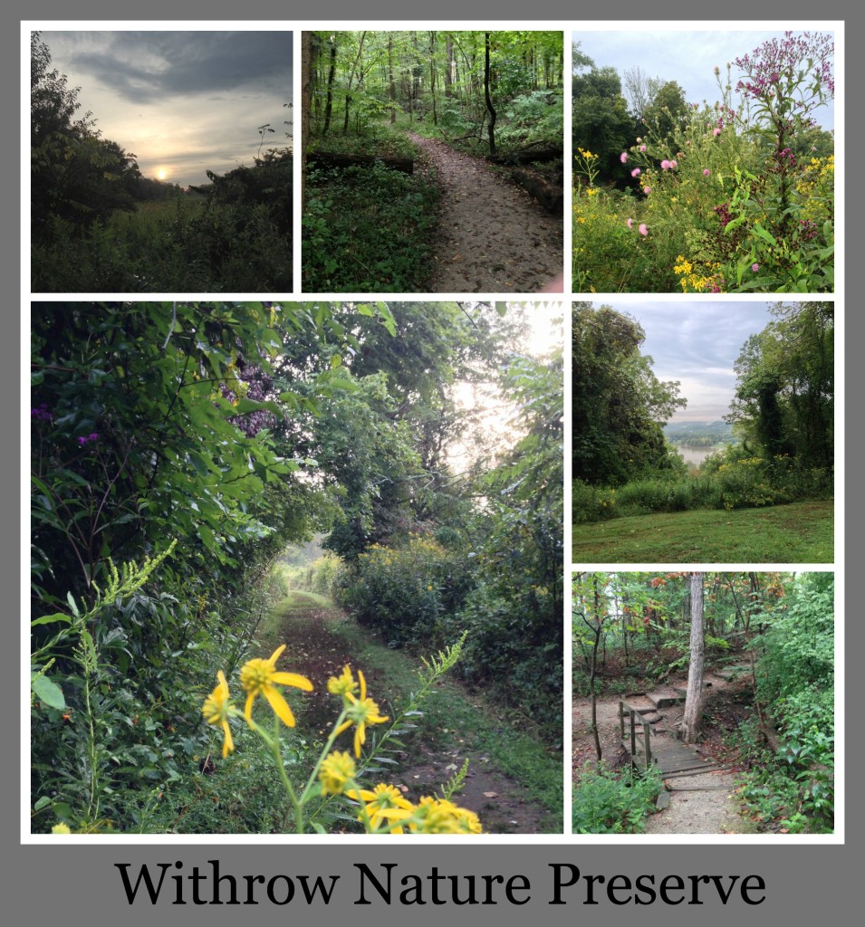 30 Days of Trails in Cincinnati: Withrow Nature Preserve