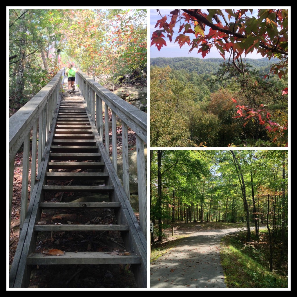 Silvermine Arch Trail in Red River Gorge