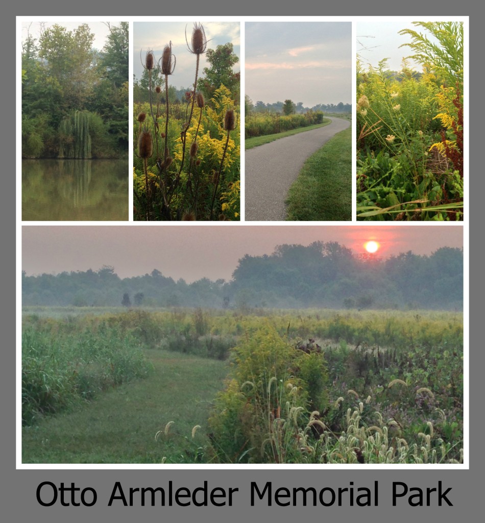 30 Days of Trails in Cincinnati: Otto Armleder