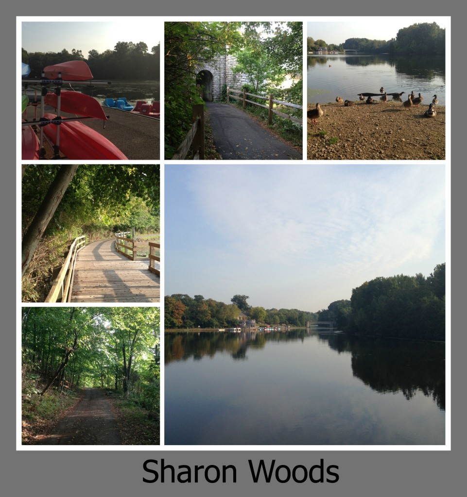 30 Days of Trails in Cincinnati: Sharon Woods