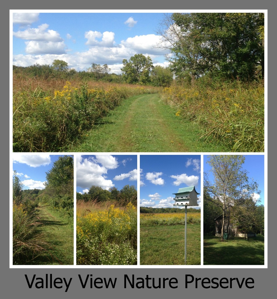 30 Days of Trails in Cincinnati: Valley View Nature Preserve