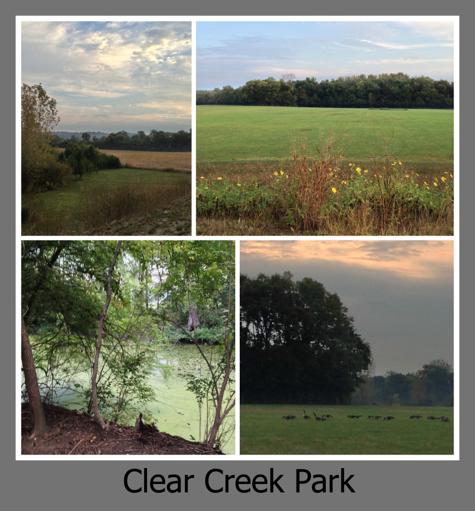 30 Days of Trails in Cincinnati: Clear Creek