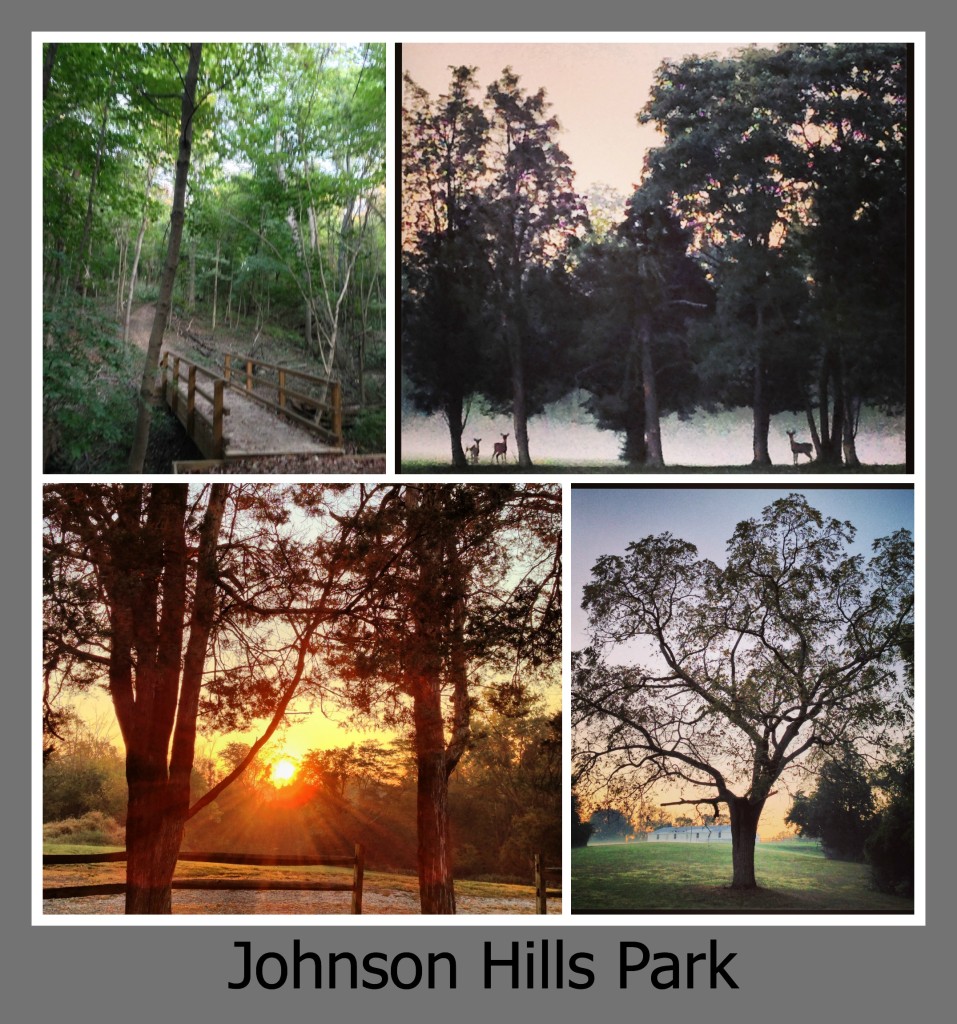 30 Days of Trails in Cincinnati: Johnson Hiils