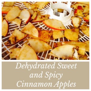 Sweet and Spicy Dehydrated Cinnamon Apples