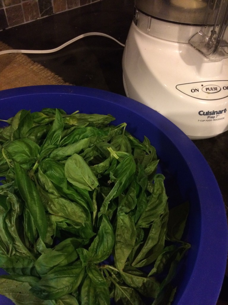 Dehydrated Pesto For Backpacking