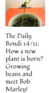 Bondi Topic- How a New Plant is Born?