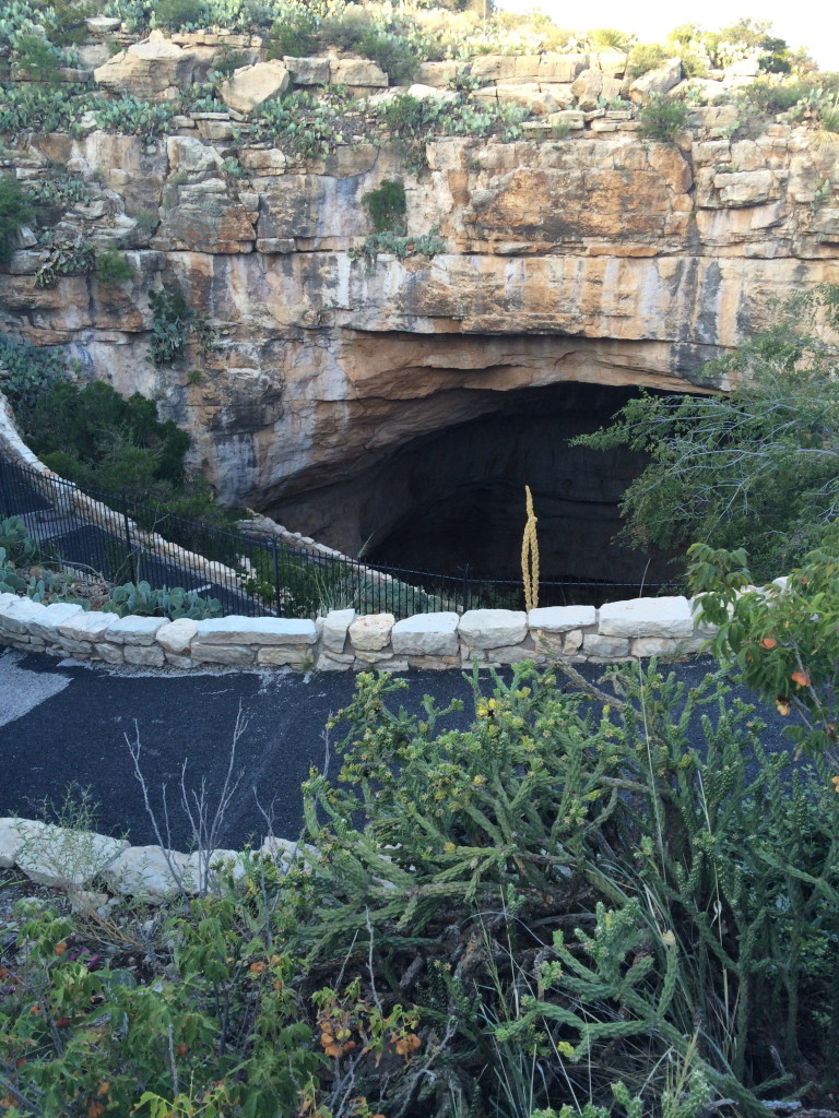 Carlsbad Caverns National Park Bat Flight