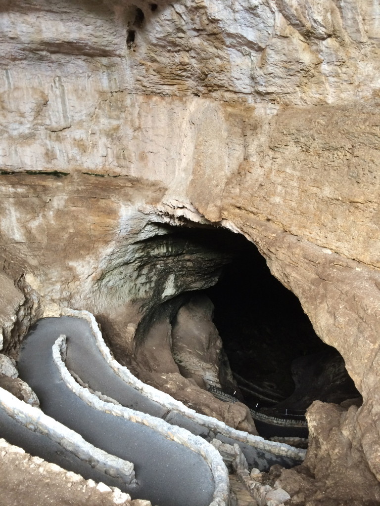 Carlsbad Caverns National Park Natural Entrance Tour