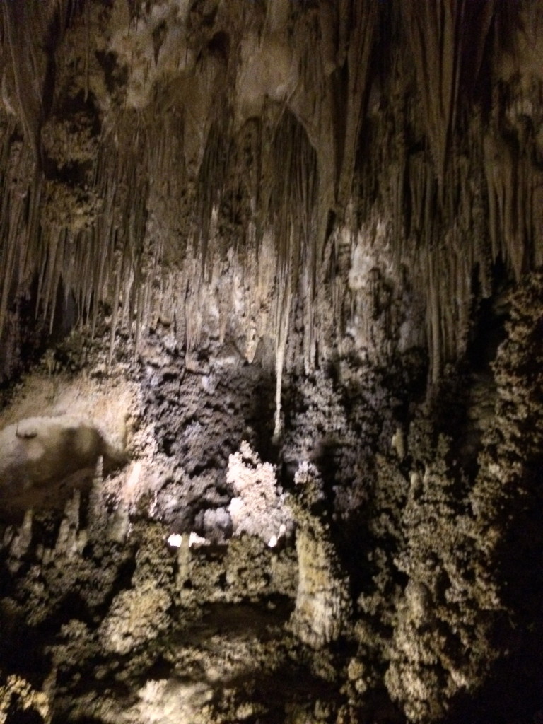 Carlsbad Caverns National Park Big Room Tour
