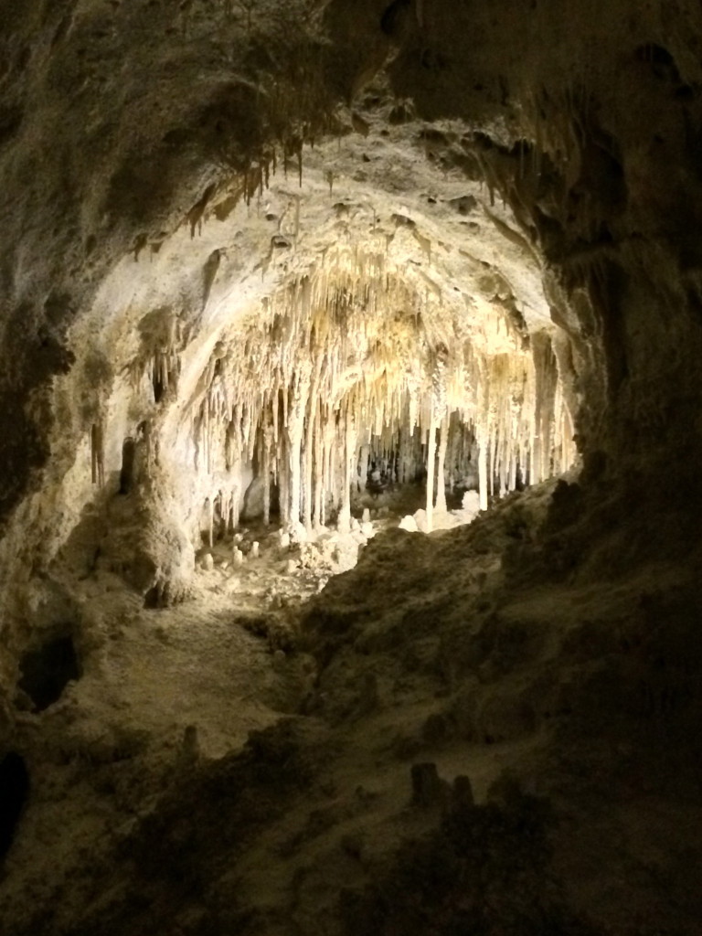Carlsbad Caverns National Park Big Room Tour