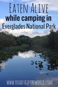Camping in Everglades National Park