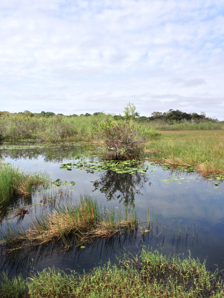 Camping in Everglades National Park