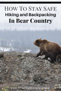 How to Stay Safe in Bear Country