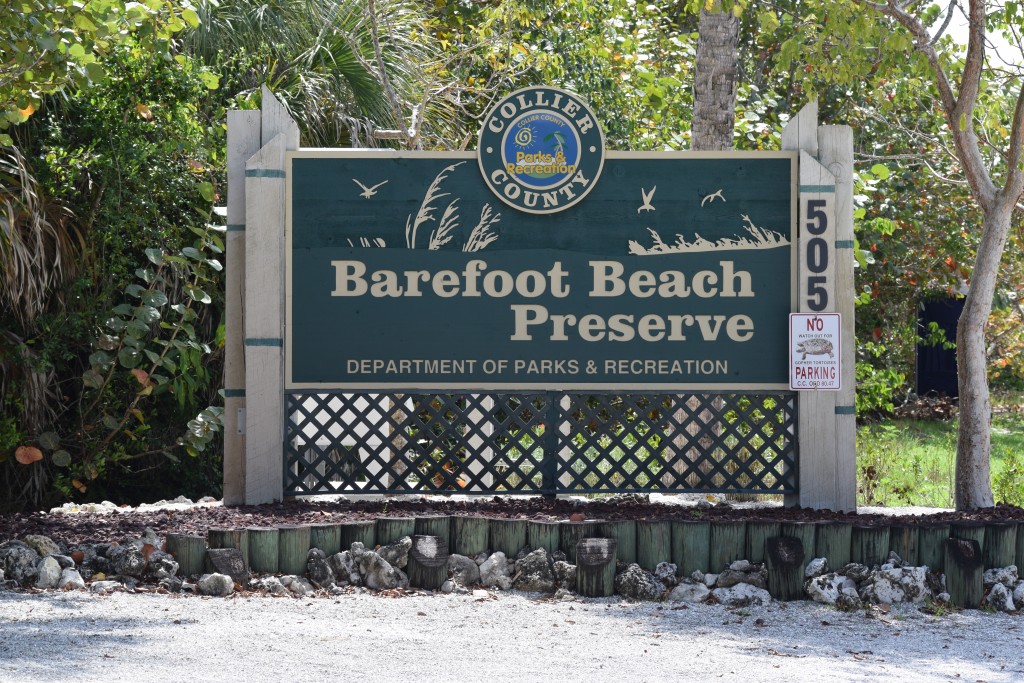 Barefoot Beach Preserve