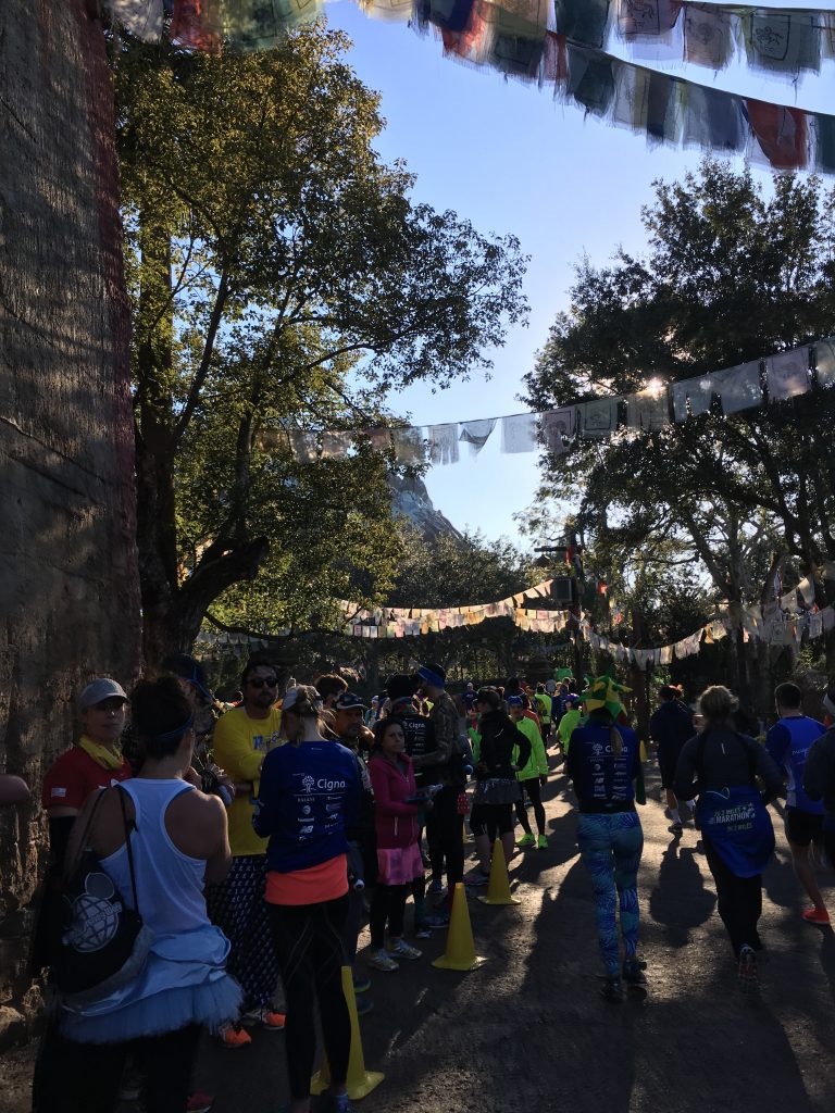 Walt Disney World Marathon Recap 2017